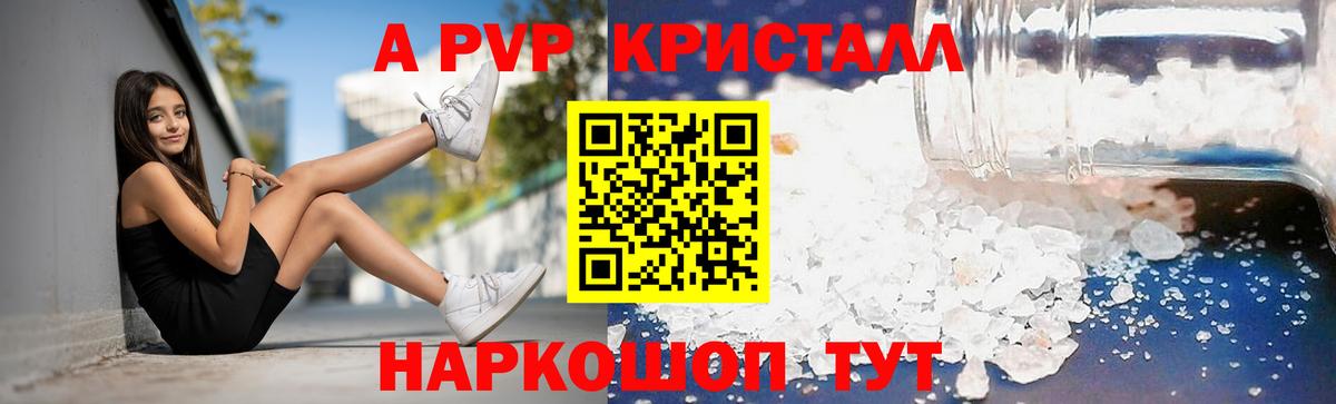 A-PVP СК КРИС Шебекино